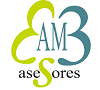 AM3 ASESORES